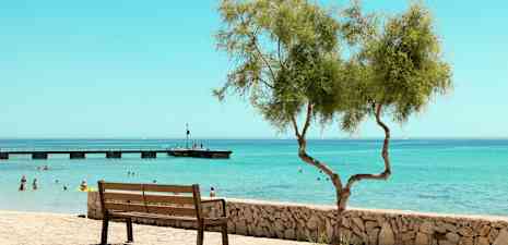 Parkkipenkki kivimuurin vieressä, yksinäinen puu etualalla ja ihmisiä uimassa meressä laituri taustalla. (Tekoälyn luoma teksti)