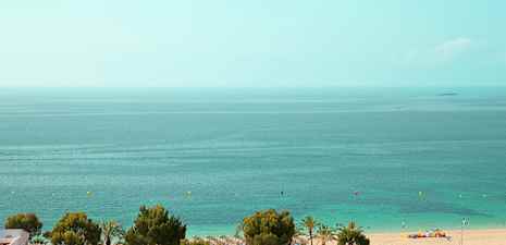 Näkymä rannalle, jossa on hiekkaa, puita ja meri. (Tekoälyn luoma teksti)