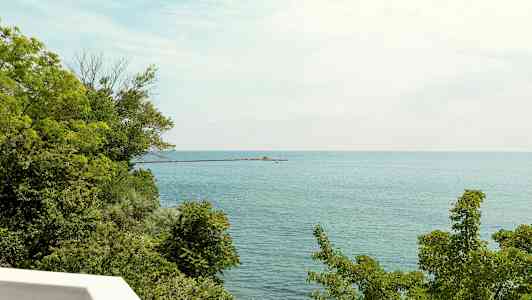 Näkymä merelle, etualalla vihreää kasvillisuutta ja laituri, joka ulottuu veteen. (Tekoälyn luoma teksti)