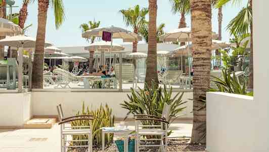 Aurinkotuoleja ja aurinkovarjoja uima-allasalueella, jota ympäröivät palmupuut. (Tekoälyn luoma teksti)