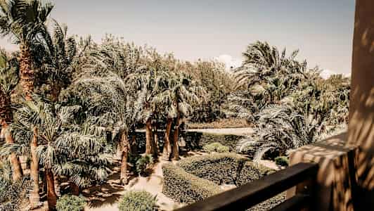 Näkymä parvekkeelta puutarhaan, jossa on palmuja ja pensaita kirkkaan taivaan alla. (Tekoälyn luoma teksti)