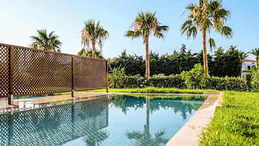 Ulkouima-allas, jossa heijastuvat palmut ja aita. (Tekoälyn luoma teksti)