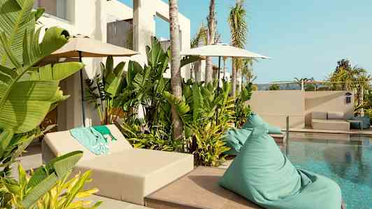 Uima-allas, jota ympäröivät vihreät kasvit ja aurinkokalusteet. (Tekoälyn luoma teksti)