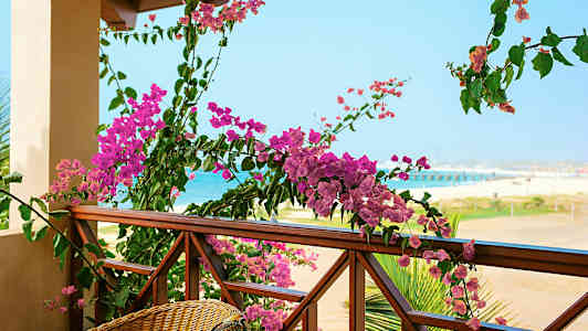 Parveke, jossa puukaide koristeltu vaaleanpunaisilla kukilla ja näkymä rannalle ja merelle. (Tekoälyn luoma teksti)