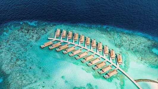 Ilmakuva vesivilloista turkoosilla laguunilla, joka on ympäröity merellä. (Tekoälyn luoma teksti)