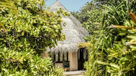 Olkikattoinen bungalow tropiikin kasvien ympäröimänä. (Tekoälyn luoma teksti)
