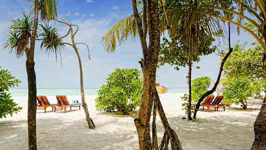 Hiekkaranta aurinkotuoleilla ja vihreillä puilla. (Tekoälyn luoma teksti)