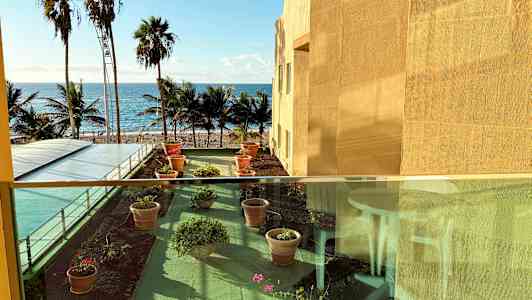 Näkymä terassille, jossa kukkaruukkuja, palmuja ja meri taustalla. (Tekoälyn luoma teksti)