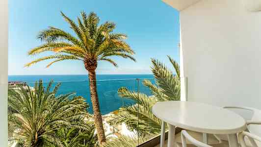 Näköala parvekkeelta, palmuja ja meri taustalla. (Tekoälyn luoma teksti)