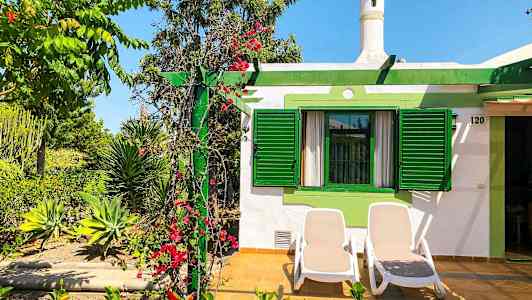 Kuvassa talo, jossa on vihreät luukut ja terassi, jolla on kaksi aurinkotuolia. Alueella on kukkien ja kasvien istutuksia. (Tekoälyn luoma teksti)