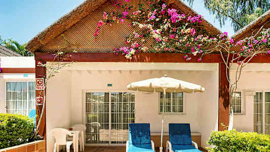 Bungalowin terassi, jonka katolla on kukkia. (Tekoälyn luoma teksti)