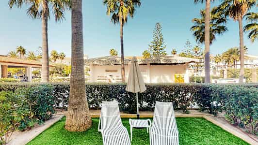 Kaksi valkoista aurinkotuolia ja niiden välissä aurinkovarjo nurmikolla, ympäröimänä palmuja ja rakennuksia taustalla. (Tekoälyn luoma teksti)