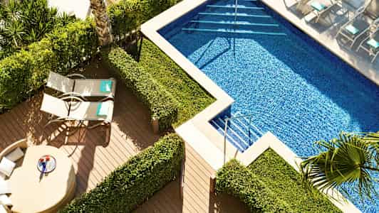 Uima-allasalue, jossa aurinkotuoleja ja vihreitä pensaita. (Tekoälyn luoma teksti)