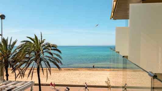 Näkymä rakennuksesta rannalle, jossa palmuja, kävelytie ja pyöräilijöitä sekä taustalla meri. (Tekoälyn luoma teksti)