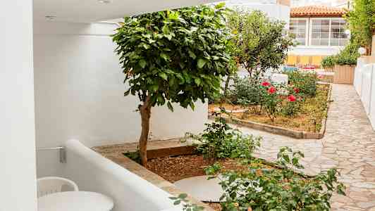 Pieni puutarha, jossa on vihreitä kasveja, kukkia ja kivetty kävelytie valkoisten rakennusten vieressä. (Tekoälyn luoma teksti)