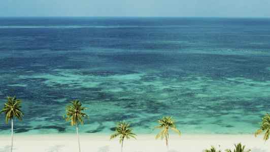 Valkoinen hiekkaranta, jossa palmuja ja selkeät aallot turkoosissa meressä. (Tekoälyn luoma teksti)