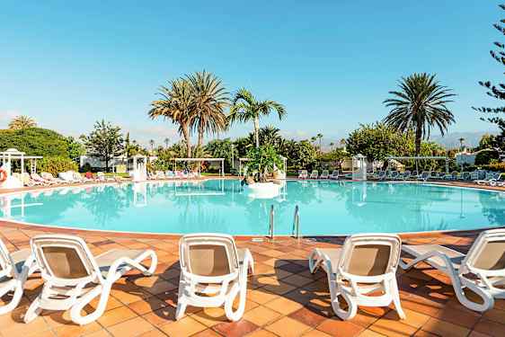 Suuri uima-allas, jota ympäröivät aurinkotuolit ja palmut. (Tekoälyn luoma teksti)