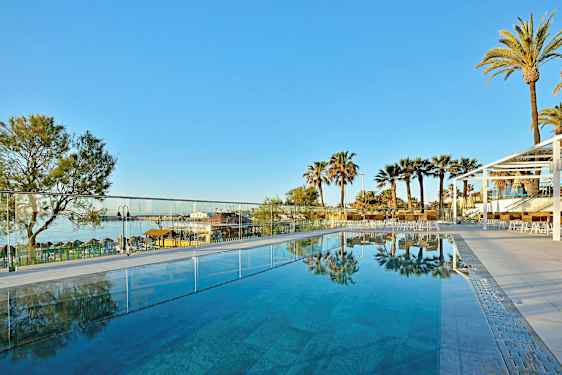 Ulkouima-allas, josta näkymä palmuihin ja kirkkaansiniseen taivaaseen. (Tekoälyn luoma teksti)