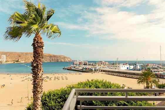 Ranta aurinkotuoleineen ja aurinkovarjoineen, satama veneineen ja palmu etualalla. (Tekoälyn luoma teksti)