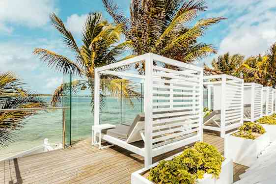 Näkymä terassilta, jossa valkoiset aurinkotuolit ja palmuja veden äärellä. (Tekoälyn luoma teksti)