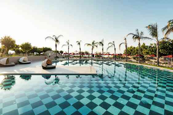 Ulkoallas ruutukuviolla, ympäröitynä palmuilla ja aurinkotuoleilla. (Tekoälyn luoma teksti)