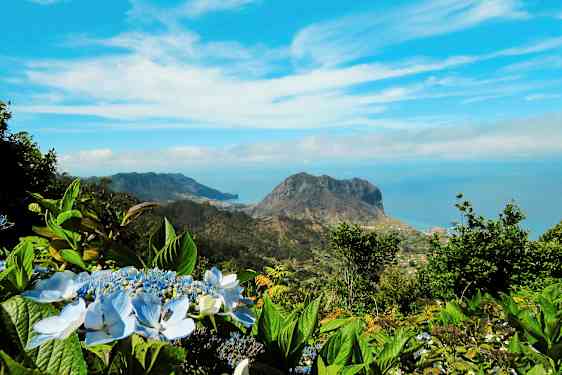 Näkymä vuoristomaisemaan, jossa on sininen taivas ja kukkia etualalla. (Tekoälyn luoma teksti)