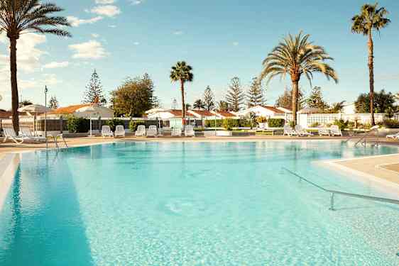 Ulkouima-allas, jonka ympärillä aurinkotuoleja ja palmuja. (Tekoälyn luoma teksti)