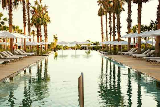 Pitkulainen uima-allas, jota ympäröivät aurinkotuolit, aurinkovarjot ja palmut. (Tekoälyn luoma teksti)