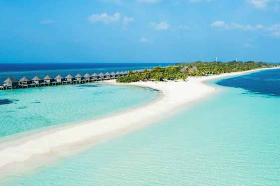 Trooppinen ranta, jossa on kirkkaansinistä vettä, hiekkaa ja palmuja sekä veden päällä pilareilla olevia bungaloweja. (Tekoälyn luoma teksti)