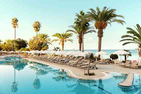 Uima-allasalue, jossa aurinkotuoleja, aurinkovarjoja ja palmuja lähellä merta. (Tekoälyn luoma teksti)