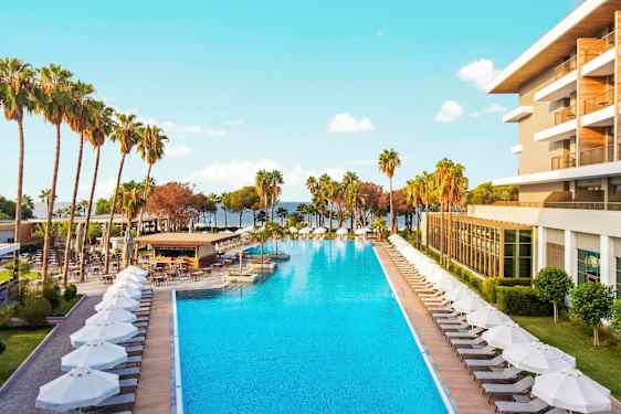 Hotelli, jossa on uima-allas ja aurinkotuoleja palmujen ympäröimänä. (Tekoälyn luoma teksti)