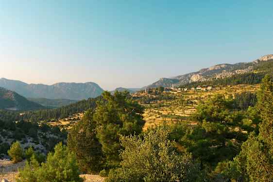 Maisema, jossa vuoria ja puita etualalla. (Tekoälyn luoma teksti)