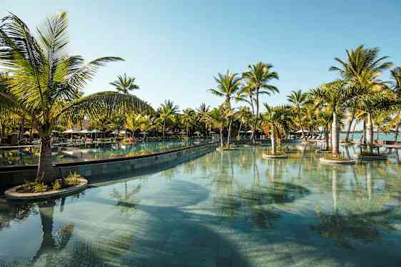 Suuri uima-allas, jota ympäröivät palmut kirkkaansinisen taivaan alla. (Tekoälyn luoma teksti)