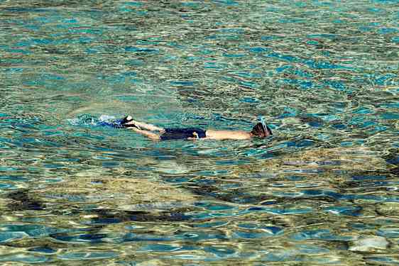 Henkilö snorkkelilla uimassa kirkkaassa vedessä. (Tekoälyn luoma teksti)