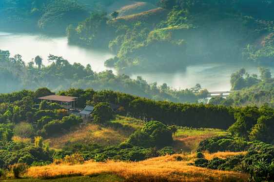 Doi Chang, Chiang Rai