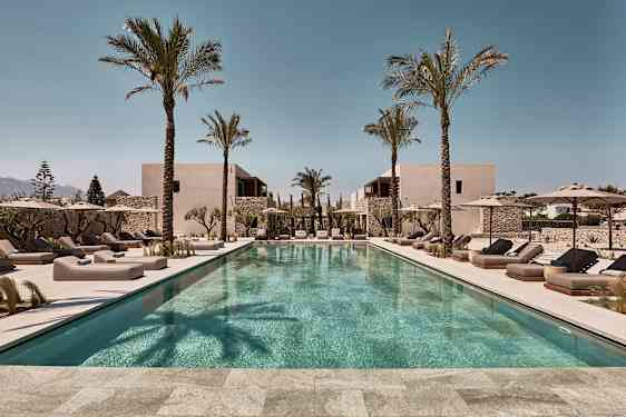 Suorakulmainen ulkouima-allas, jota ympäröivät aurinkotuolit ja päivänvarjot, taustalla palmuja ja rakennuksia. (Tekoälyn luoma teksti)