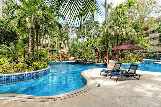 Ulkoilma-uima-allas, jota ympäröivät trooppiset kasvit ja aurinkotuolit. (Tekoälyn luoma teksti)