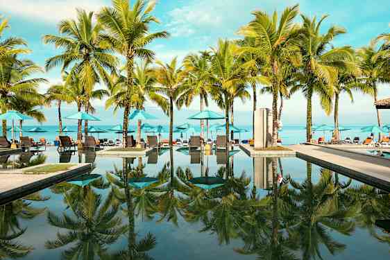 Ulkouima-allas palmuilla ja aurinkotuoleilla rannalla. (Tekoälyn luoma teksti)