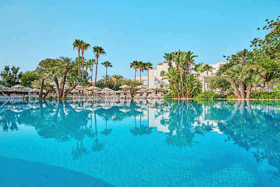 Ulkoallas, jota ympäröivät aurinkotuolit ja palmut. (Tekoälyn luoma teksti)