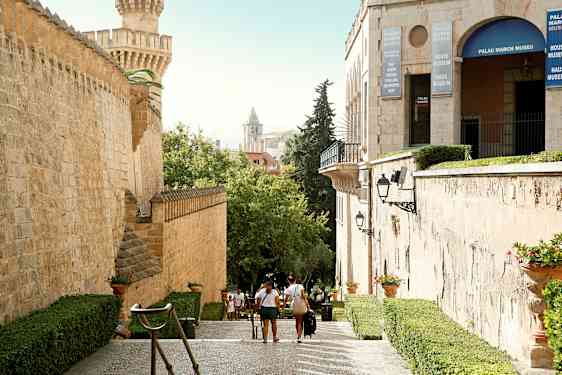 La Seu, Santa Marian katedraali Palmassa