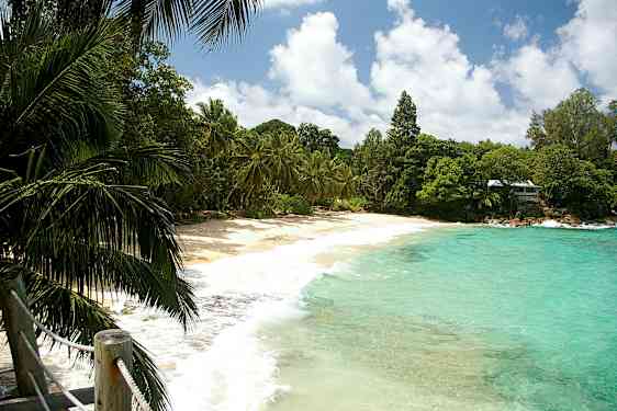 Hiekkaranta, turkoosia vettä ja vihreitä palmuja. (Tekoälyn luoma teksti)