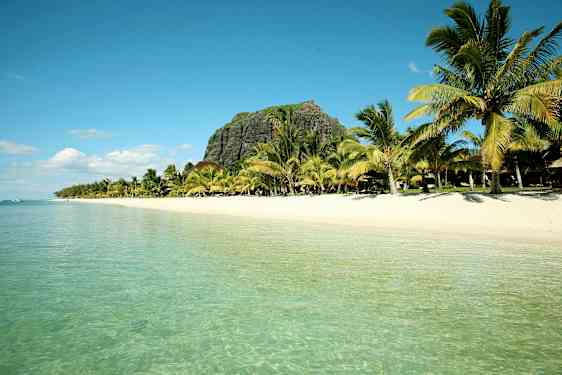 Ranta, jossa kirkas vesi, ympäröitynä palmupuilla ja taustalla kallio. (Tekoälyn luoma teksti)