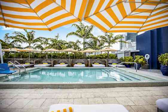 Uima-allasalue, jossa on aurinkotuoleja, aurinkovarjoja ja palmuja taustalla. (Tekoälyn luoma teksti)