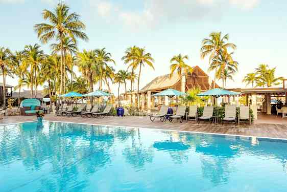 Uima-allasalue, jossa aurinkotuoleja, aurinkovarjoja ja palmuja taustalla. (Tekoälyn luoma teksti)