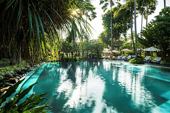 Ulkouima-allas, jota ympäröivät trooppiset kasvit ja palmut auringonlaskun aikaan. (Tekoälyn luoma teksti)