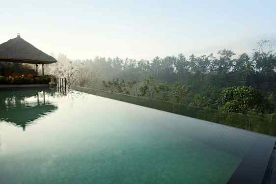 Ääretön uima-allas, jossa kirkasta vettä ja näkymä vehreään trooppiseen kasvillisuuteen ja palmuihin. (Tekoälyn luoma teksti)