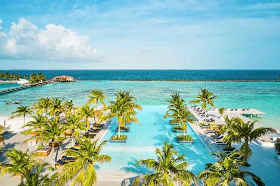 Äärettömyysallas, jota ympäröivät palmut, taustalla meri. (Tekoälyn luoma teksti)