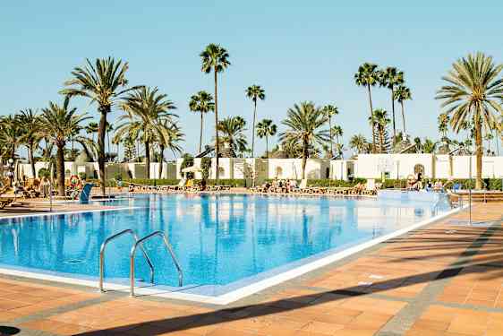 Ulkouima-allas, jota ympäröivät aurinkotuolit ja palmut. (Tekoälyn luoma teksti)