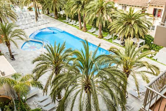 Uima-allas, jonka ympärillä on aurinkotuoleja ja palmuja. (Tekoälyn luoma teksti)