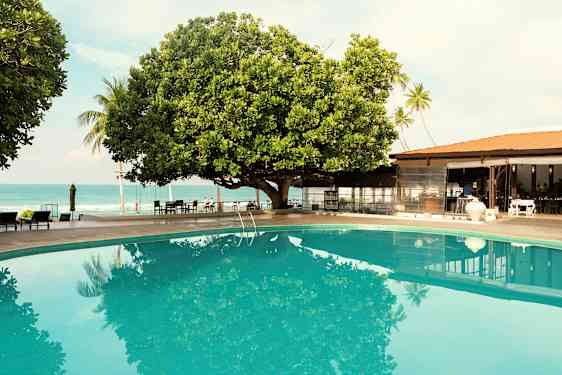 Uima-allas suuren puun vieressä, taustalla meri ja rakennus. (Tekoälyn luoma teksti)